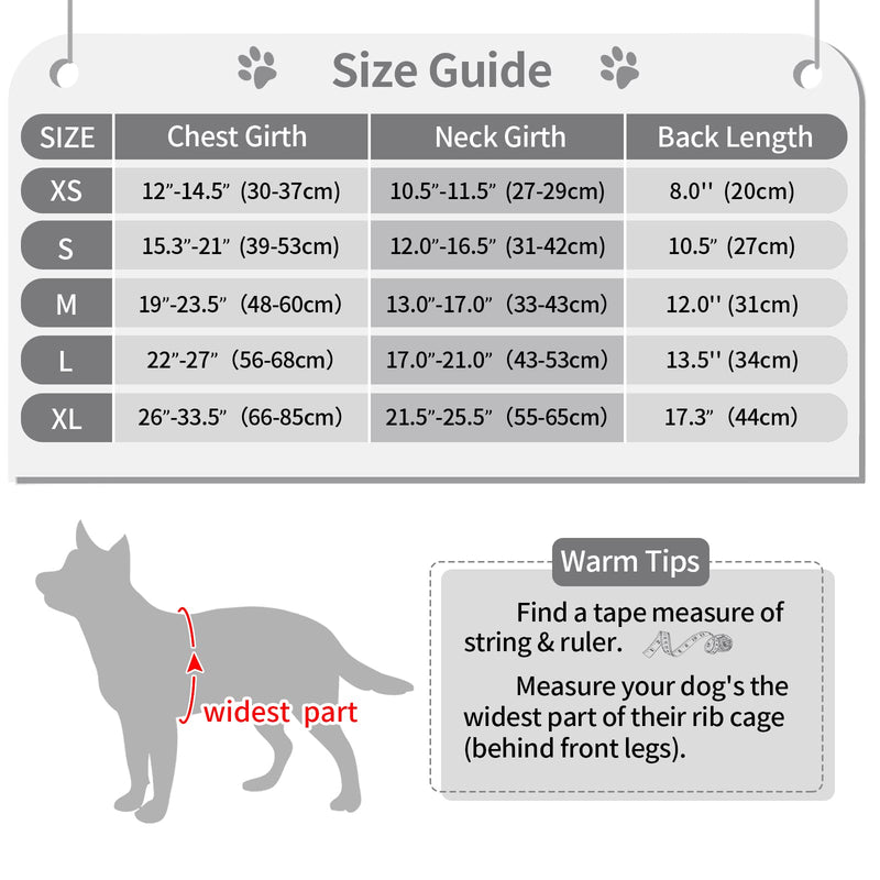 Malier Dog Life Jacket, Ripstop Dog Life Vest Adjustable Dog Life Preserver with Strong Buoyancy and Durable Rescue Handle Pet Lifesaver for Small Medium Large Dogs Swimming Boating Gray X-Small - PawsPlanet Australia