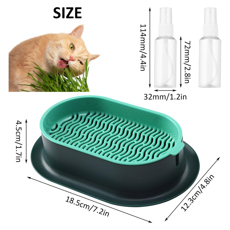 FRXAEZTG Catnip Frame with 2 Spray Bottles of 50 ml Catnip Plant Growing Kit Fresh Catnip (Dark Green + Green) - PawsPlanet Australia