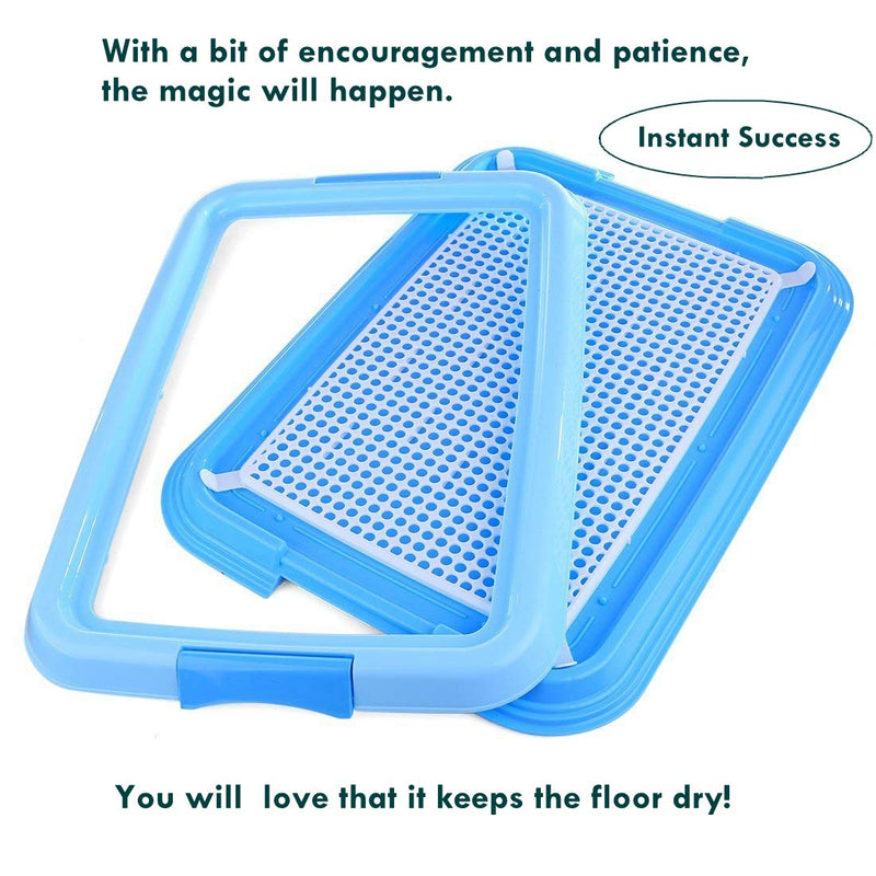 [Australia] - Petforu Dog Training Trays, Pet Toilet Training Pad Holder [Blue + White] 