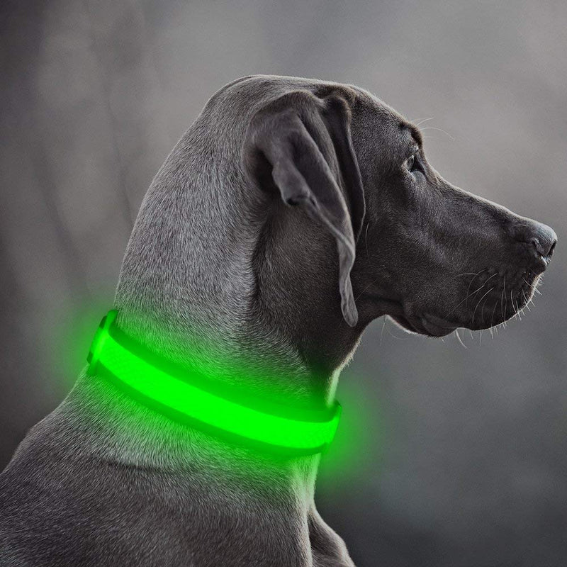 [Australia] - Ezier USB Rechargeable Glow in The Dark Dog Collar - Walking Lights Dog Collar Mesh Adjustable Light Up Dog Collars for Small Medium Large Dogs Large [17''-25.5''/ 43-65cm] Green 