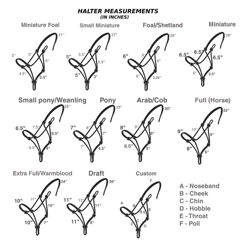Black Braided Horse Rope Halter Headcollar For Pat Parelli Natural Horsemanship Training Method - 11 Sizes 09. Sky Blue Braid Noseband 03. Miniature - PawsPlanet Australia