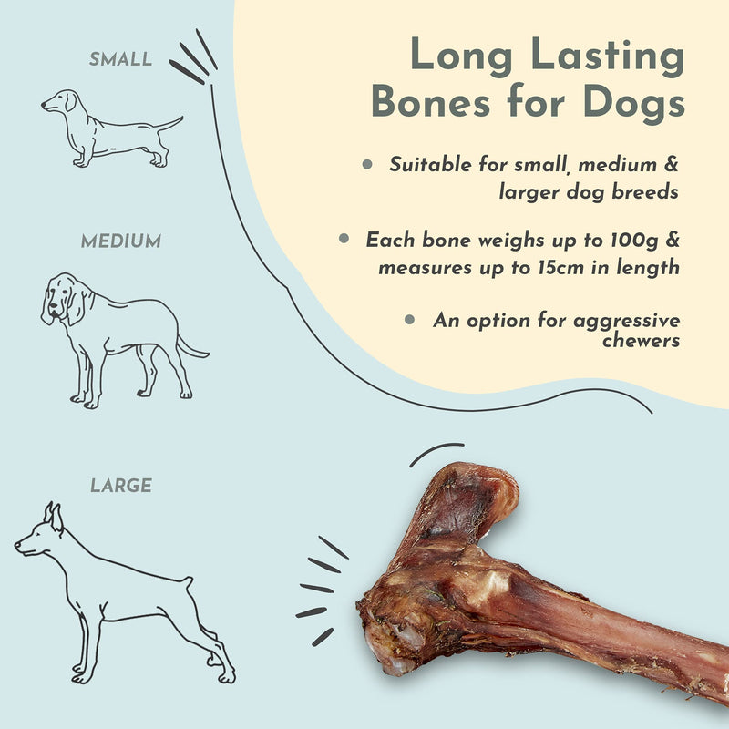 Purplebone Venison Deer Marrow Dog Treats, Pack of 3, Dog Bone Treats for Large or Small Breeds | 100% Natural & Longer Lasting Sticks | Free From Hormones, Additives Or Antibiotics - PawsPlanet Australia