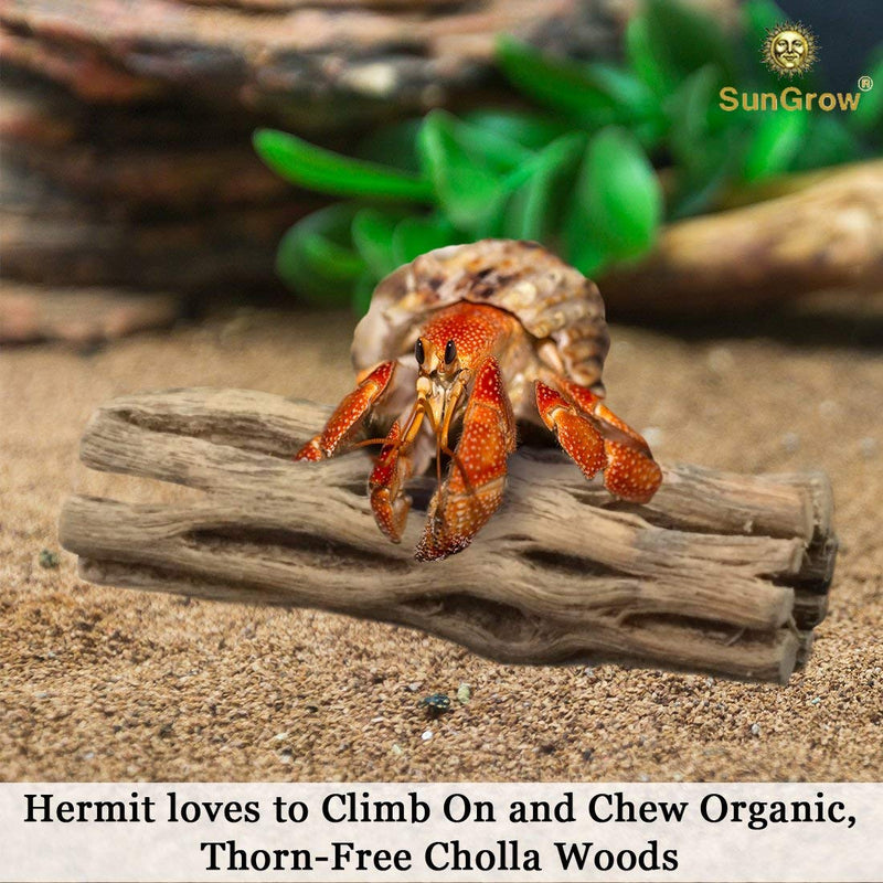 SunGrow Hermit Crab Woods, 6” Climbing Logs, Chew Toy, Keep Hermies Busy and Active, Long Dried Aquarium Décor Adds Raw Beauty, 3 Pcs - PawsPlanet Australia