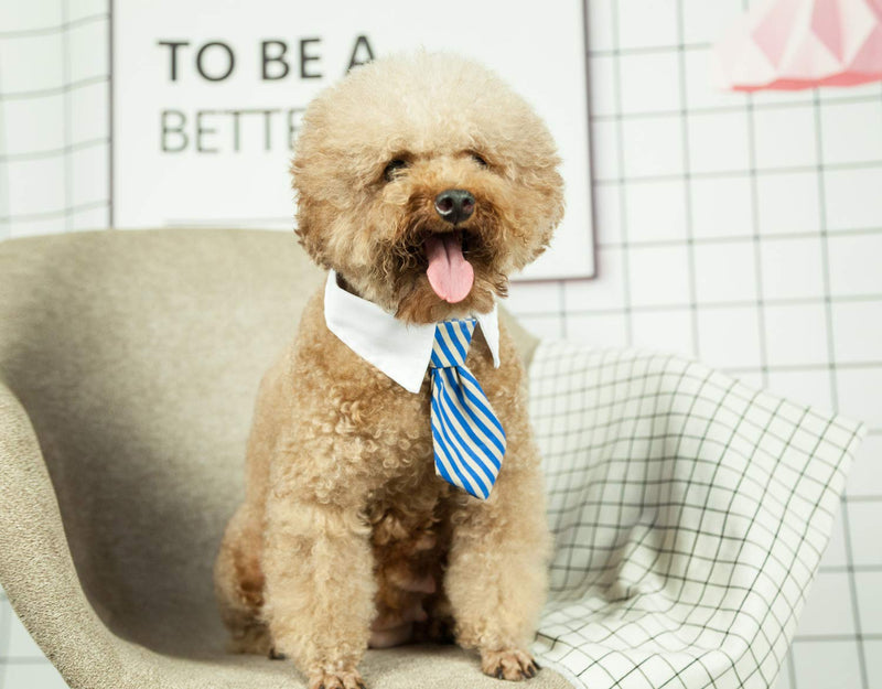 [Australia] - ZTON Bowtie for Little Puppy, Handcrafted Adjustable Formal Collar Neck Tie for Dogs & Cats S Blue Stripe 