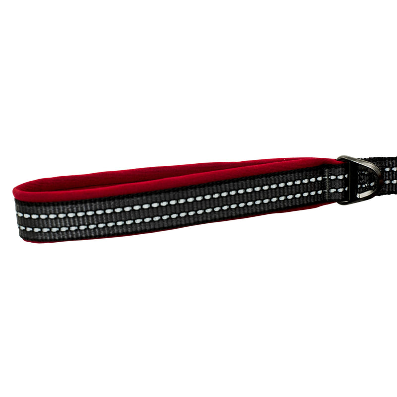 [Australia] - Franklin Pet Supply Nylon Dog Leash – Reflective Co – Comfort Fit – Neoprene Handle – 6 Foot – Dog Training – Walking Red 