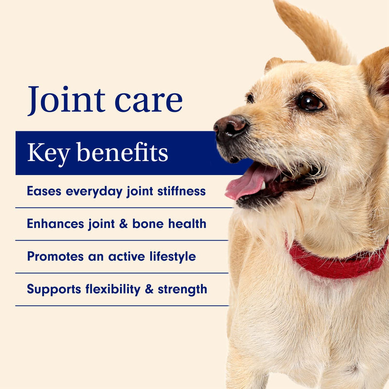 Petlab Co. Joint Care Chews - High Levels of Glucosamine for Dogs, Green Lipped Mussels, Omega 3 and Turmeric - Dog Hip and Joint Supplement to Actively Support Mobility - Packaging May Vary - PawsPlanet Australia