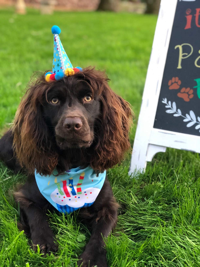 Dog Birthday Bandana Hat Scarf Party Supplies (Blue) Blue - PawsPlanet Australia