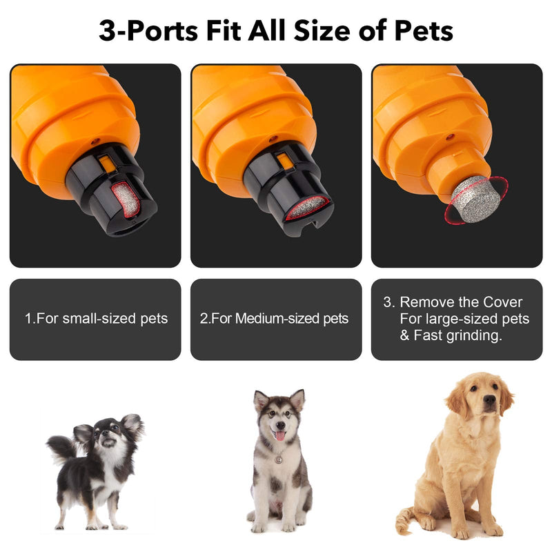 Casfuy Dog Nail Grinder with 2 LED Light - New Version 2-Speed Powerful Electric Pet Nail Trimmer Professional Quiet Painless Paws Grooming & Smoothing for Small Medium Large Dogs and Cats Orange - PawsPlanet Australia