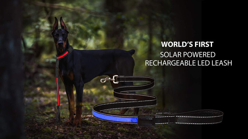 TDL-brand Solar Powered, LED Reflective Safety Dog Leash, High Visibility, Fully Adjustable & Lightweight (Length 48 in Width 1 in, Blue) Length 48 in Width 1 in - PawsPlanet Australia