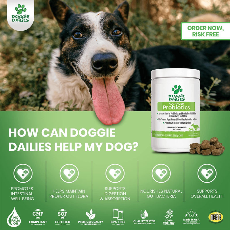 Doggie Dailies Probiotics for Dogs, 225 Soft Chews, Advanced Dog Probiotics with Prebiotics, Promotes Digestive Health, Supports Immune System and Overall Health Duck - PawsPlanet Australia