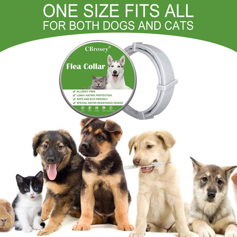 CBROSEY Flea Tick Collar,Flea Treatment For Dogs,Cat Flea Treatment,Flea Treatment Collar,Waterproof Adjustable 25 inches Anti Flea Collar Fits for Most Dogs Cats Green - PawsPlanet Australia