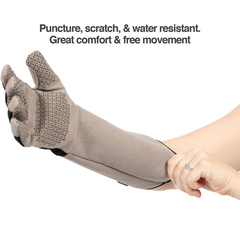 PetFusion Multipurpose Pet Glove for Grooming, Trips to Vet, Handling. [Puncture & Scratch Resistant, Water Resistant]. 12 Month Warranty for Manufacturer Defects Medium Grey - PawsPlanet Australia