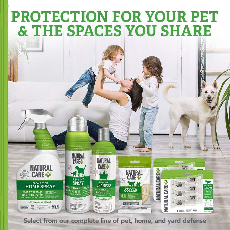 [Australia] - Natural Care Flea and Tick Dog Shampoo | Flea Treatment for Dogs | Flea Killer with Certified Natural Oils | 12 Ounces 