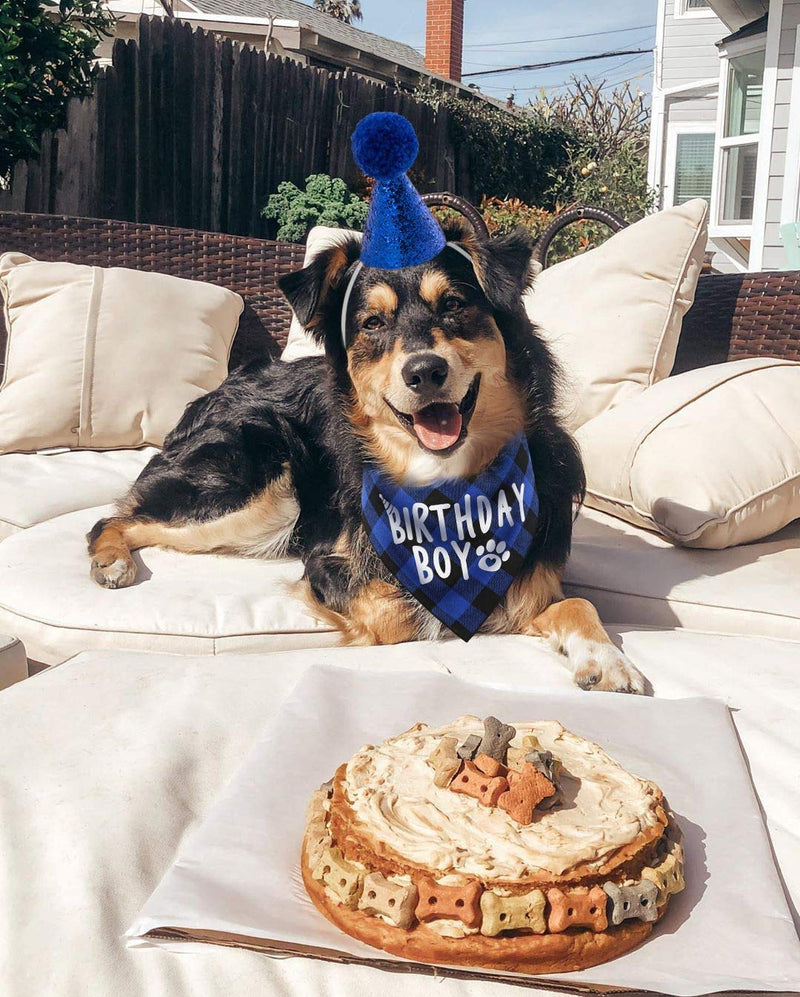 Dog Birthday Bandana and Pet Birthday Hat Set, Doggy Birthday Bone Toy for Small Medium Dogs - PawsPlanet Australia