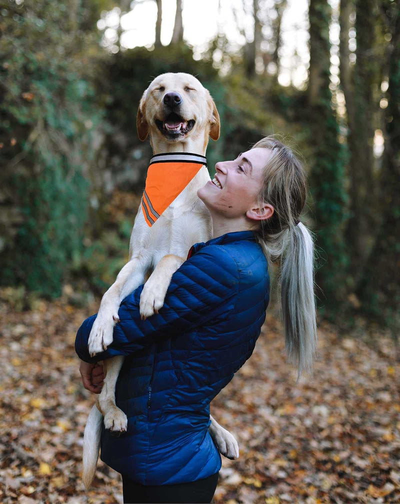 Reflective Dog Bandana Velcro Safety Scarf 2 Pack Orange Dog Reflective Gear - PawsPlanet Australia