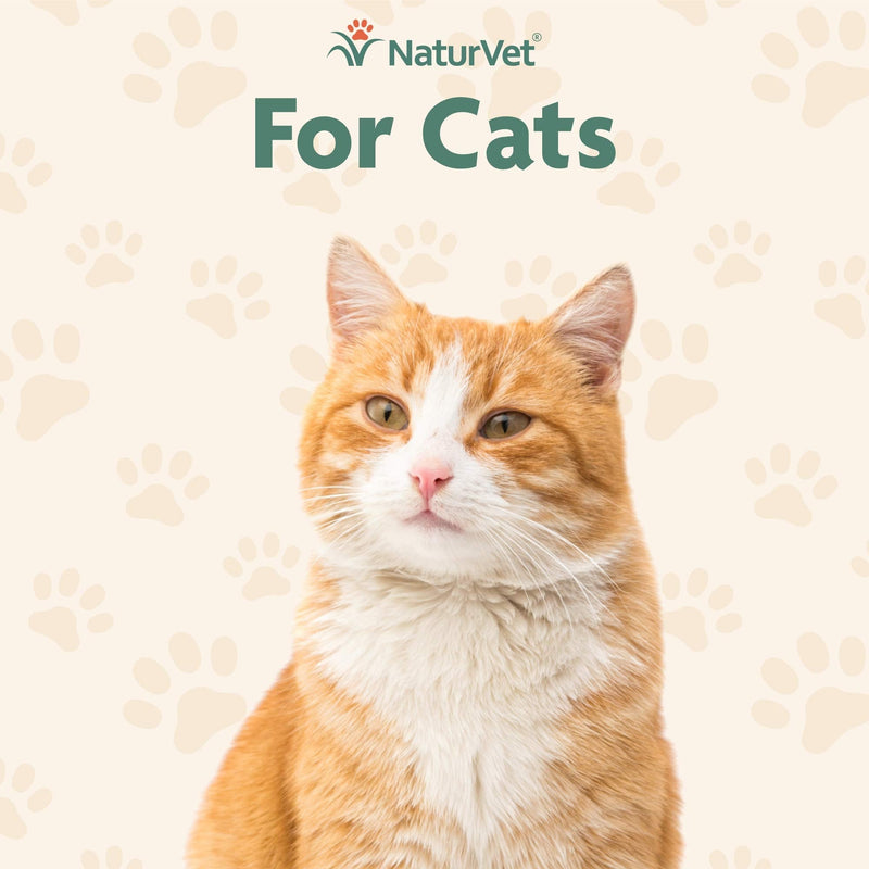 NaturVet Quiet Moments Calming Aid Cat Supplement Plus Melatonin – Helps Reduce Stress in Cats – for Pet Storm Anxiety, Motion Sickness, Grooming, Separation, Travel Quiet Moments Plus Hemp 1 Oz Drops - PawsPlanet Australia