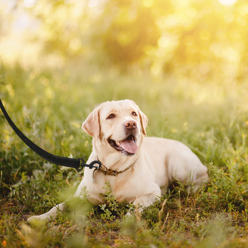 WELLGRO towing leash for dogs with hand strap 3m / 5m / 10m / 15m / 20m / 25m / 30m dog leash robust nylon metal carabiner training leash, sizes: 3 meters 3 meters - PawsPlanet Australia