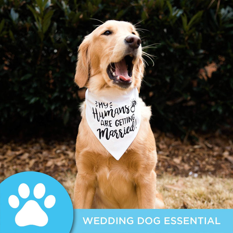 My Humans are Getting Married Dog Bandana, Wedding Dog Bandana, Dog Engagement Announcement, Wedding Photo Prop, Pet Scarf, Pet My Humans Are Getting Married - PawsPlanet Australia