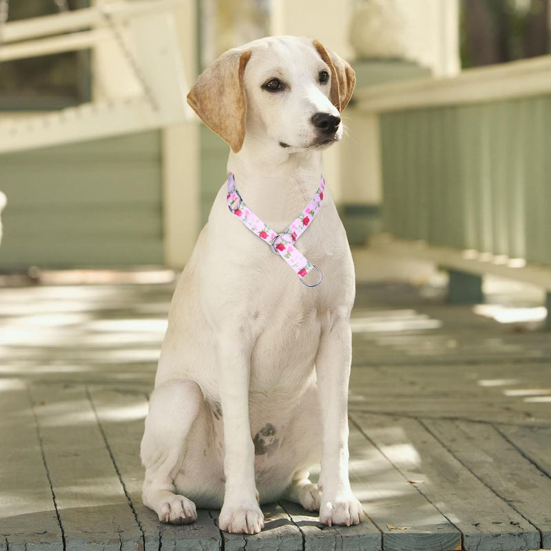 Training Dog Collar, No Pull Martingale Collar, Slip Collar with Slidable Stop Ring for Small, Medium, Large Dogs (S, Roses) S - PawsPlanet Australia