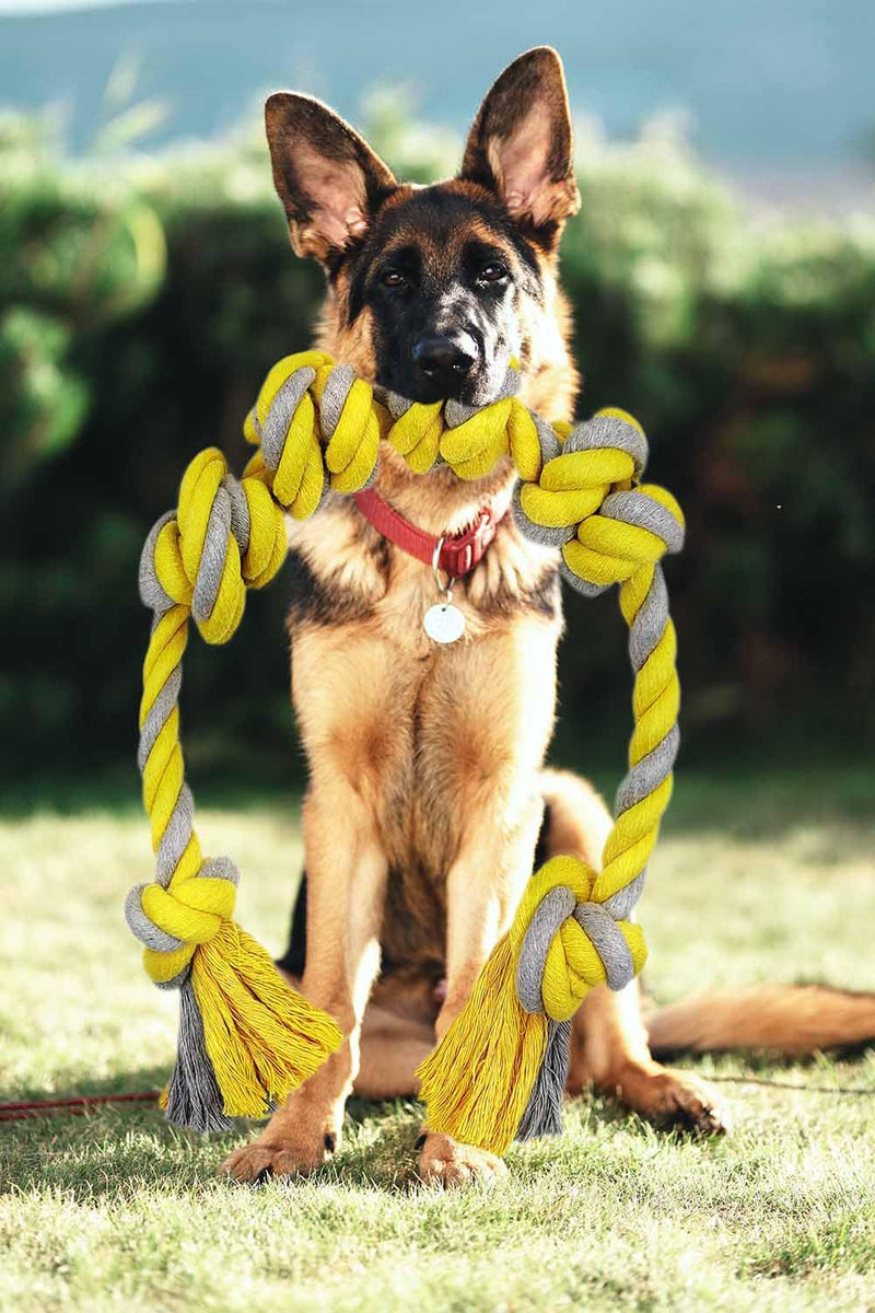 Dr. MUYA Toy for Dogs, Six Knot Cotton Rope Yellow Gray Chew Toy Interactive Game Rope Suitable for Medium and Large Dogs 62cm 350g (yellow, gray) 350g - PawsPlanet Australia