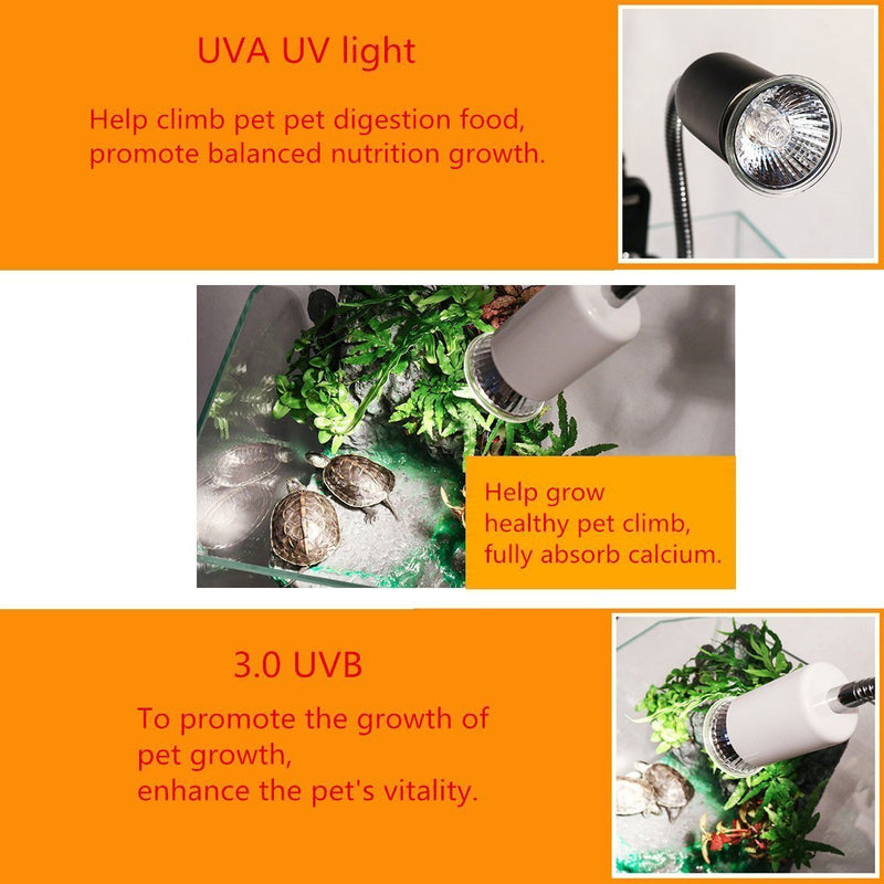 CTKcom 25W UVB Light UVA Bulb Halogen Basking Bulb(4 Pack)- 110V Full Spectrum Reptilian Lamp Lizard Lamp UV Heating Lamp Spot Lamp for Turtle Aquarium Aquatic Reptile Lizard Habitat Heat Light,4 Pcs - PawsPlanet Australia