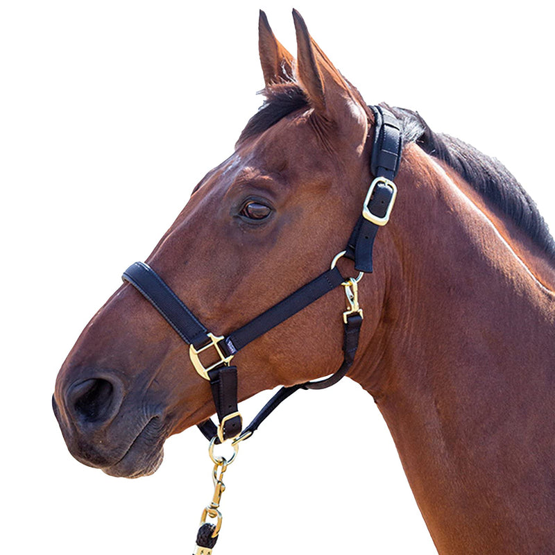 Topaz Nylon Head Collar Red Small Pony - PawsPlanet Australia