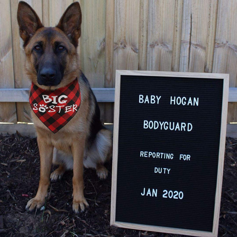 [Australia] - JPB Big Brother Big Sister Dog Bandana Baby Pregnancy Announcement Gender Reveal Bandanas for Dogs 