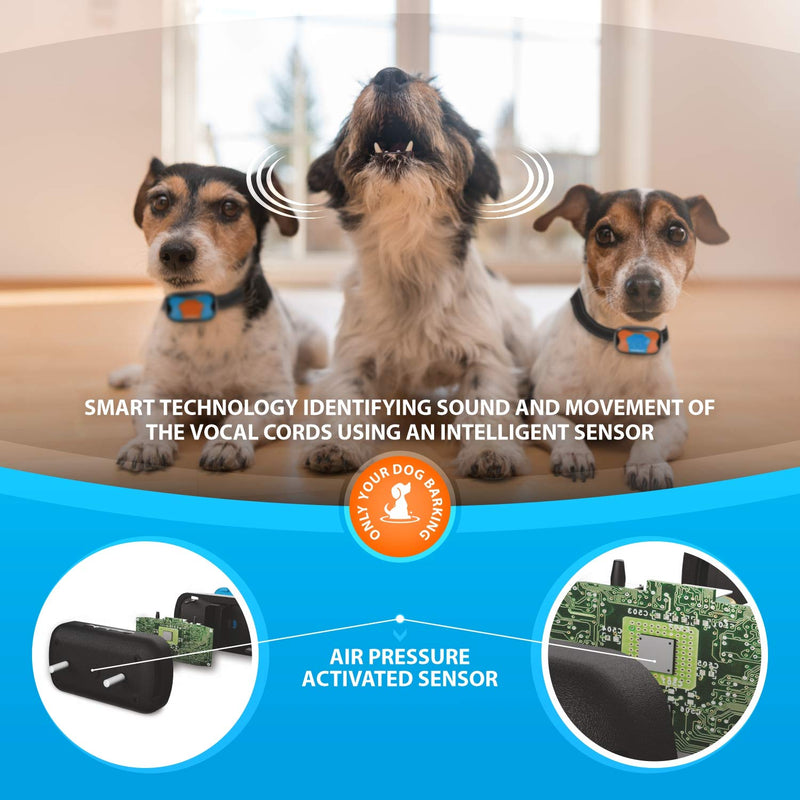 SparklyPets Rechargeable Bark Collar 2 Pack – No Shock Bark Collar for Small Medium or Large Dogs – Dog Barking Collar with Smart Adjustable Vibrating Collar(Rechargeable Version) Rechargeable version - PawsPlanet Australia