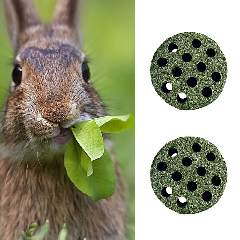 NA 2 Pcs Timothy Grass Hay Cakes Pet Teeth Grinding Treats Natural Grass Cake for Rabbits,Guinea Pigs, Hamsters or Other Small Animals - PawsPlanet Australia