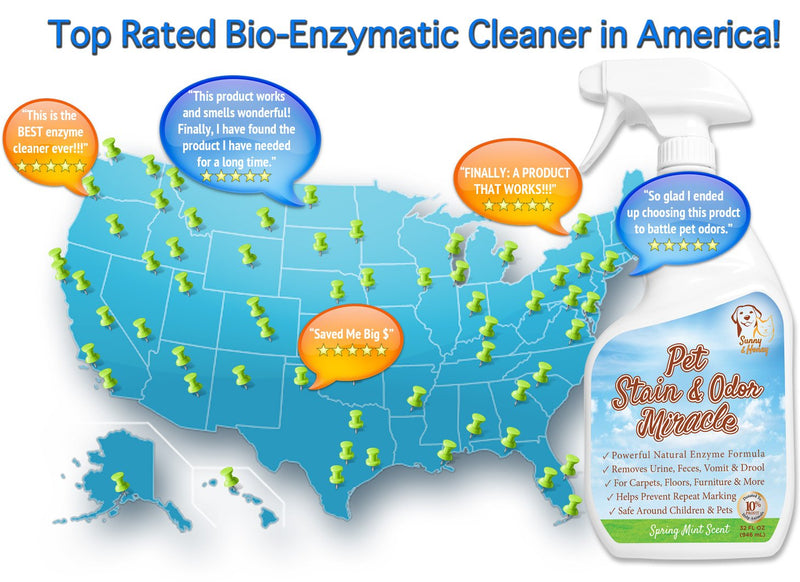 [Australia] - Pet Stain & Odor Miracle - Enzyme Cleaner for Dog and Cat Urine, Feces, Vomit, Drool Spring Mint Scent 32 FL OZ 