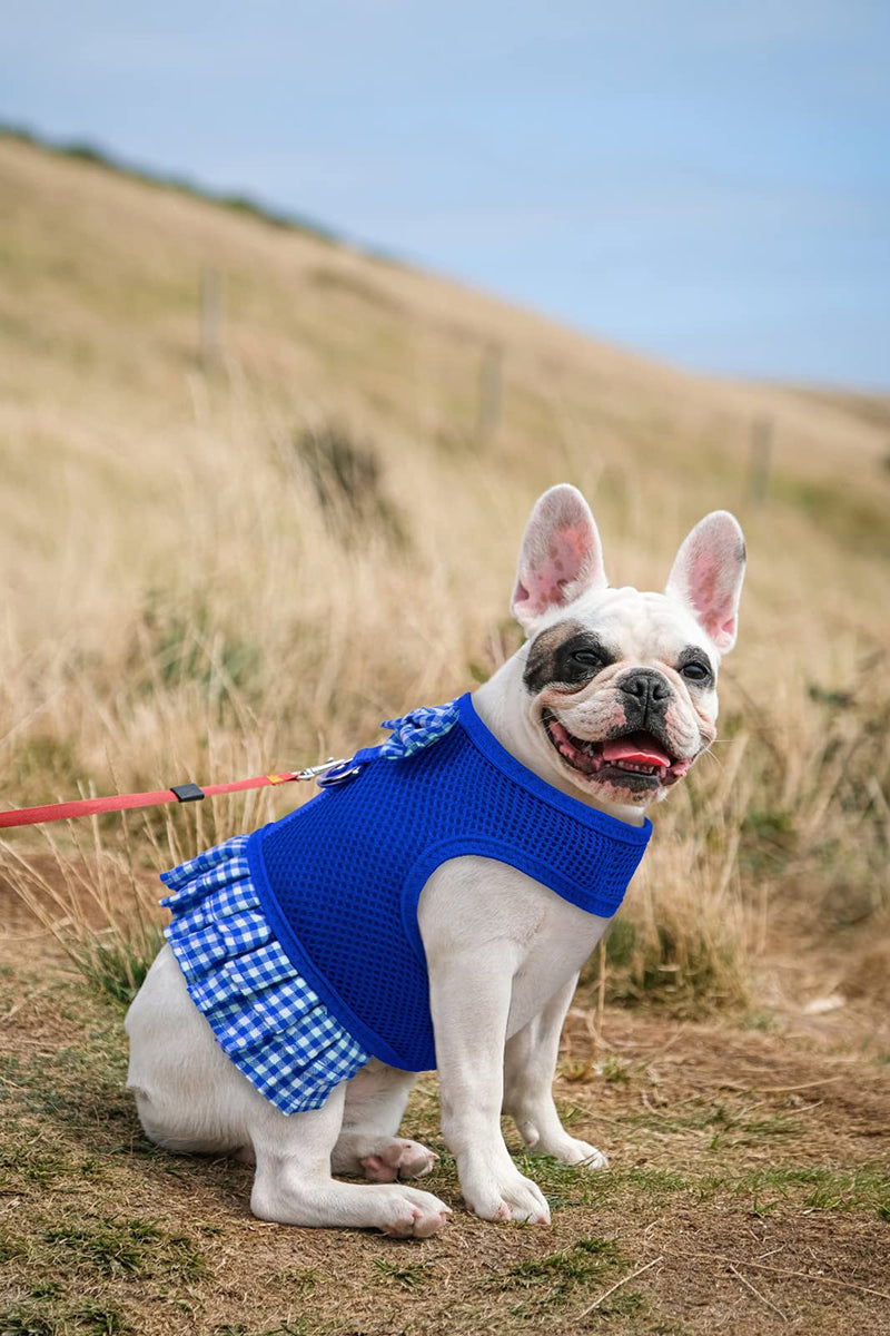 Kessie Dog Harness Dress Cat Harnesses with Bowknot Pet Mesh Harness for Small and Medium Dogs (X-Small, Blue) X-Small - PawsPlanet Australia