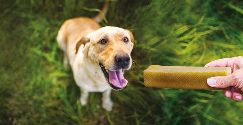 Yakers Natural Dog Treats Crunchy Bars Dry Yak Milk, 5 x 70 g Crunchy Bar - PawsPlanet Australia