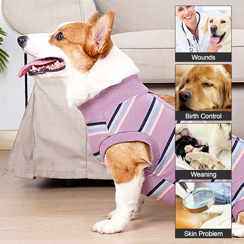 HACRAHO Dog Post Surgery Recovery Suit, 1 Pack E-Collar Alternative Tight-Fitting Recovery Shirt Dogs Surgical Neutering Suit for Pet Belly Anti-Leak Shirt - PawsPlanet Australia