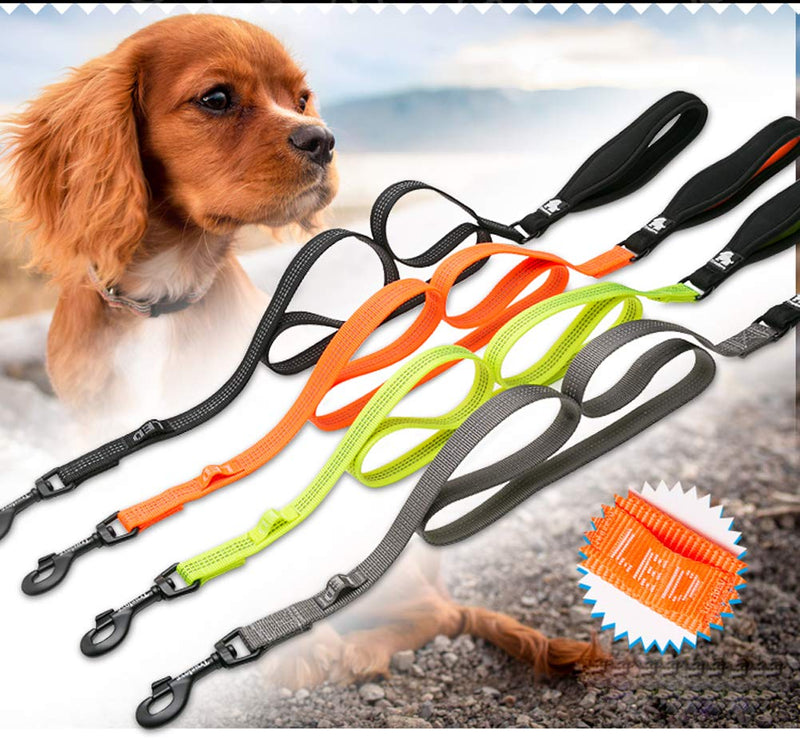 [Australia] - ZEEY Dog Leash Reflective Lead for Control Safety Training Leashes for Large Dogs Medium Dogs,Length 140cm, 3 Widths 1.5cm/2cm/2.5cm L-2.5cm Gray 