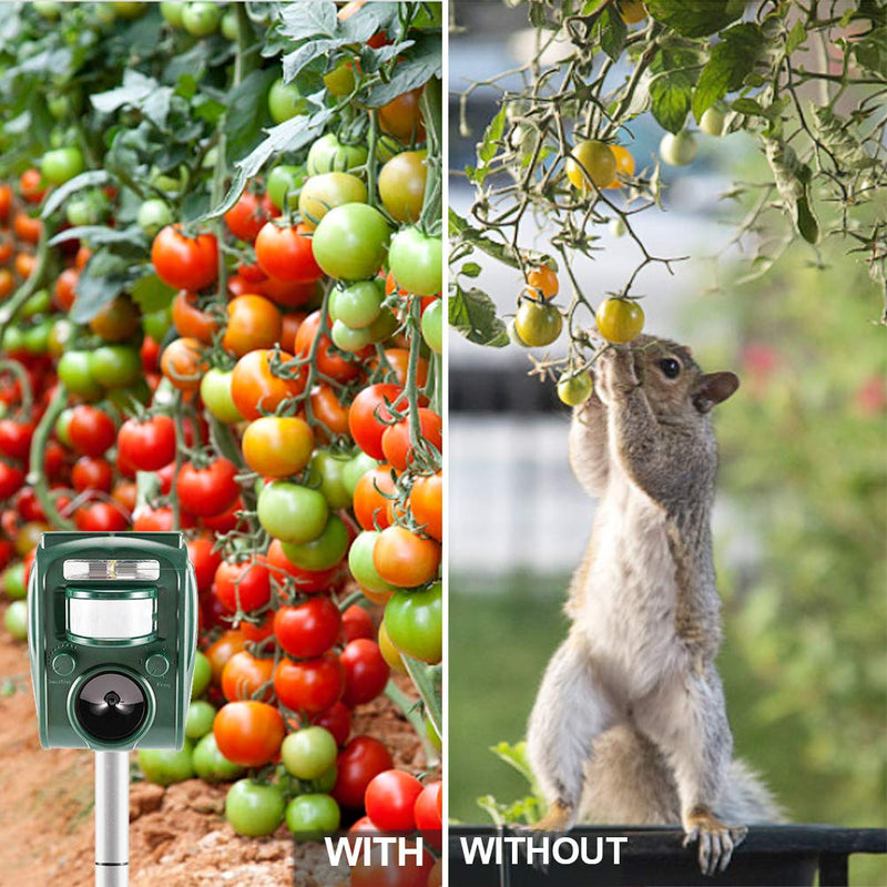 zonpor Cat Repellent, Ultrasonic Animal Repeller Solar Battery Operated Fox Deterrent Cat Scarer Repellent for Gardens - PawsPlanet Australia