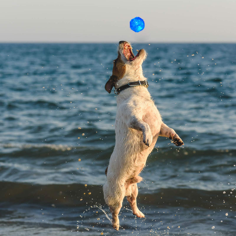 [Australia] - Weewooday 2 Pieces LED Light Up Dog Balls Pet Flash Bouncy Balls Dog Squeaky Balls Interactive Toys for Pets Dogs Party Favor, Blue and Red 