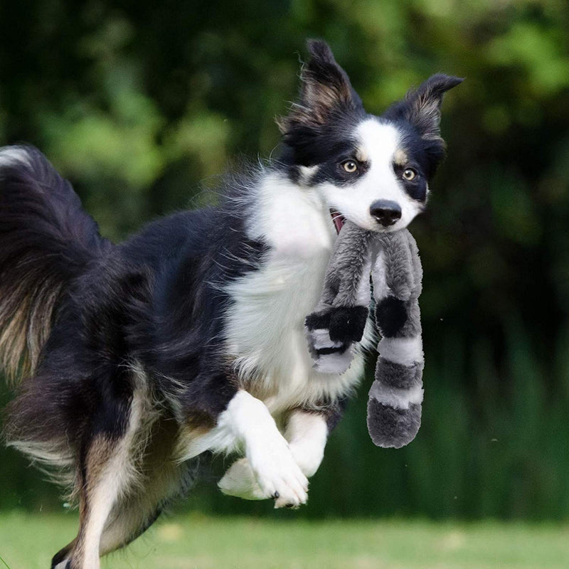 ToKinCen Dog Squeaky Toys,Plush Squeaky Dog Chew Toys No Stuffing Dog Toys Plush Dog Toys for Small Medium Dog (2pcs) 2pcs - PawsPlanet Australia