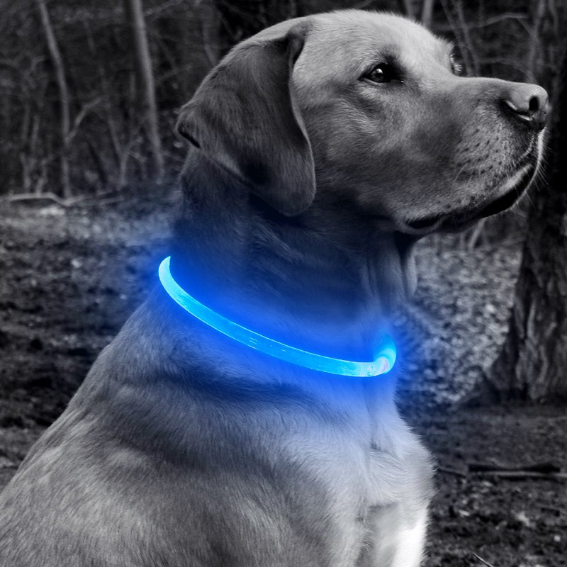 [Australia] - BSEEN LED Dog Collar, USB Rechargeable Glowing Pet Collar, TPU Cuttable Dog Safety Lights for Small Medium Large Dogs Blue 