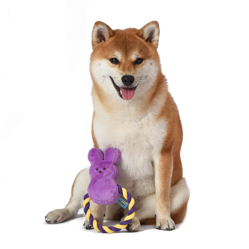 Peeps for Pets Bunny 6 Inch Purple Plush Rope Pull Toy for Dogs | Purple Dog Toy from Peeps, Plush Fabric Dog Toys | Small Squeaker Dog Toy with Rope (FF16025) - PawsPlanet Australia