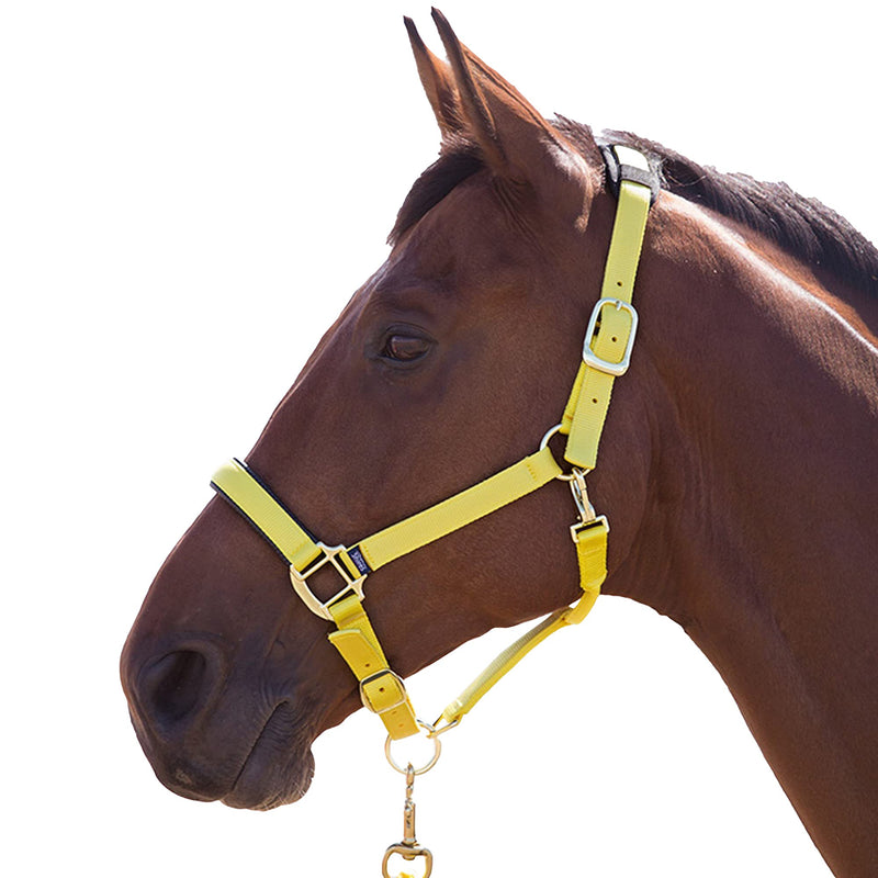 Topaz Nylon Head Collar Red Small Pony - PawsPlanet Australia