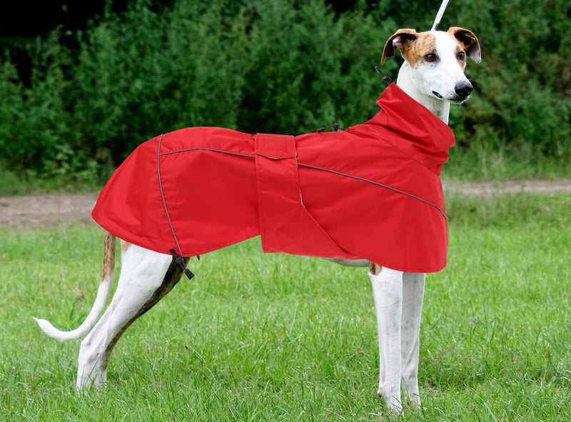 Greyhound Lurcher Raincoat, Whippet Rain Gear with Reflective Bar, Rain/Waterproof, Adjustable Bands and drawstring in Autumn and winter - Red - XS - PawsPlanet Australia