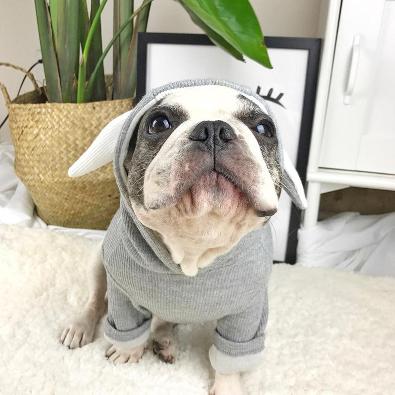 Fashion Pet Dog Cat Hoodies 2 Legs Pet Clothes Cotton Puppy Winter Sweatshirt Warm Sweater Coat Jacket S Gray - PawsPlanet Australia