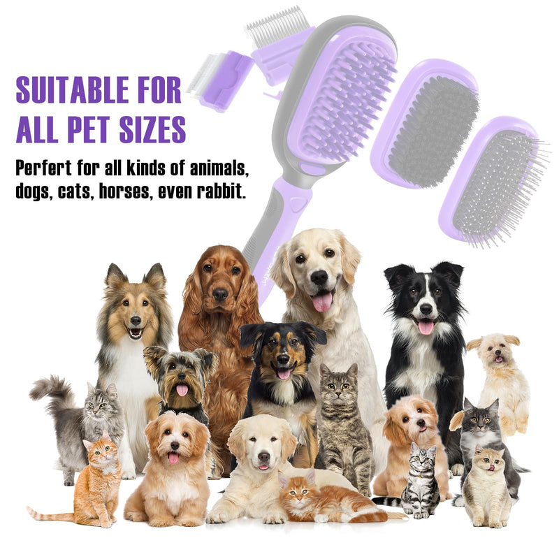 WOPQAEM 5 in 1 Pet Grooming Kit for Long Short Haired Dogs & Cats. Dog Brush Set for Small & Large Breeds. Gentle Detangling, Smoothing, Relaxation, Tangle Removal & Shedding Control. Purple - PawsPlanet Australia