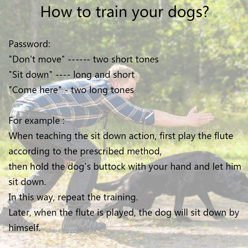 [Australia] - 2 Pack Dog Whistle for Stop Barking, Professional Ultrasonic Dog Whistles Puppy Bark Control Training Tool with Lanyard Black and White 