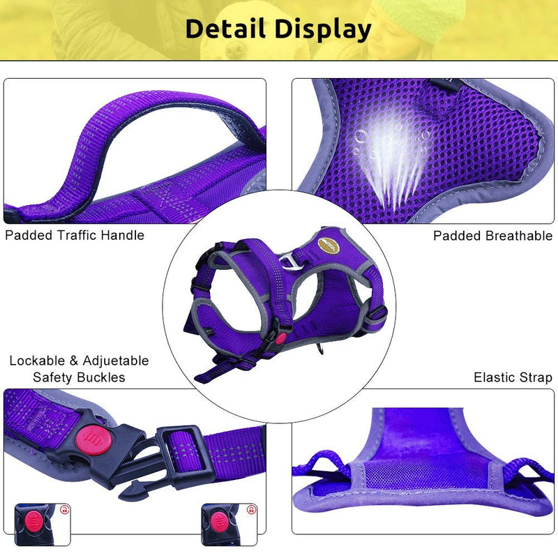 [Australia] - AdventureMore Dog Harness Leash Set, No-Pull Dog Harness, Front Clip Dog Harness, Reflective Dog Vest, with 5 ft Dual Handle Dog Leash, Padded Handles Bungee Training Dog Leash L(chest 17-35"/neck 18-26") Purple 