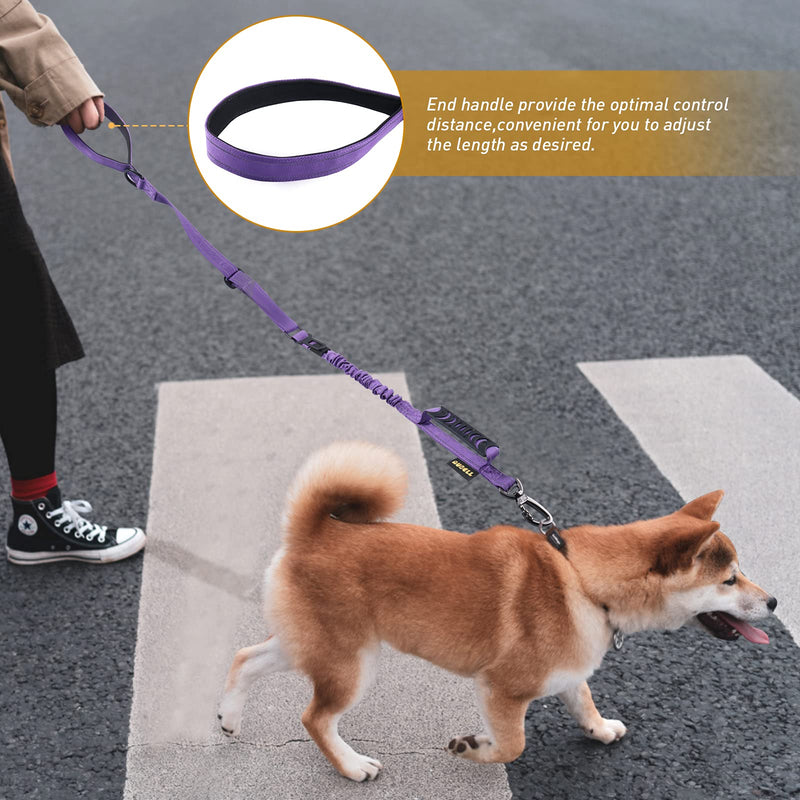 Heavy Duty Dog Leash, Reflective Dog Leashes with Car Seat Belt and Soft Padded Handle, 6FT Strong Dog Leash for Training, Walking Lead for Large Medium Dogs Purple - PawsPlanet Australia