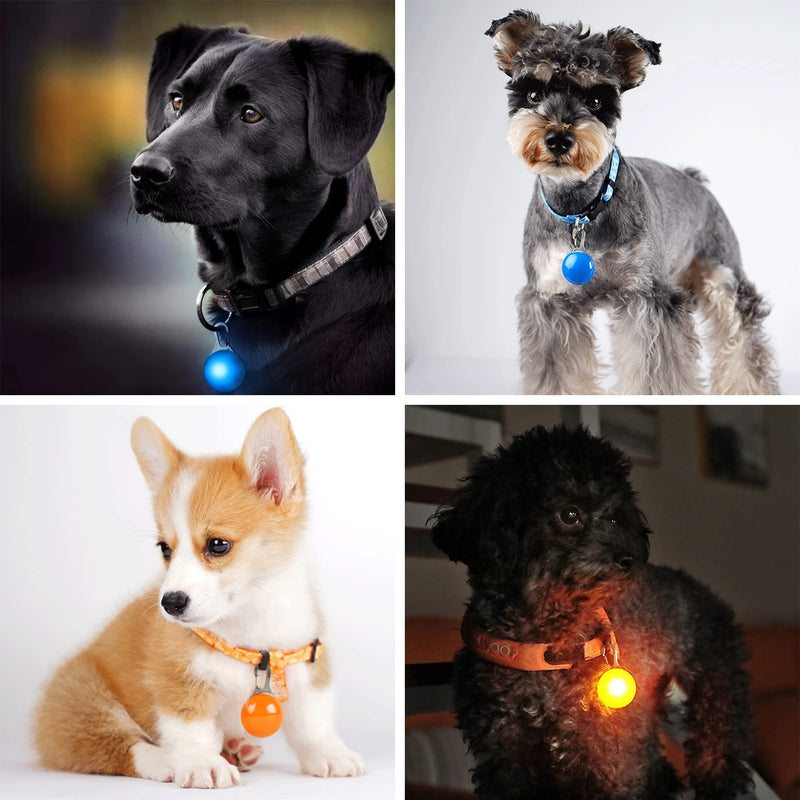 Homeet Dog Safety Flashing Light Clip-On LED Light Pendant Pet Light Collar with 3 Flashing Modes Safety Light for Dog Safety Pack of 3 - PawsPlanet Australia