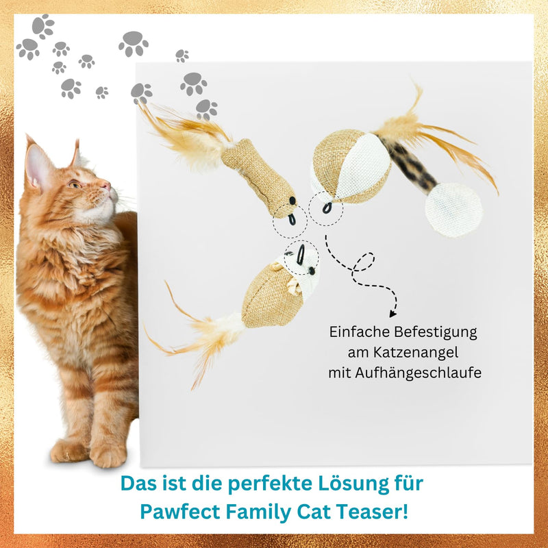 Pawfect Family® Natural Cat Toy Set: 5 Sisal Toys with Feather Charms. Suitable as a replacement for cat fishing rods. - PawsPlanet Australia
