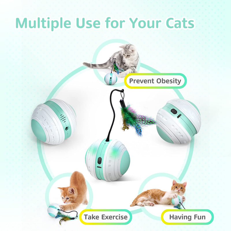 Interactive Cat Toy, Beedove Cat Toys with Bird Sound LED Light 360° Self Rotating Cat Ball USB Charging Smart Automatic Robotic Cat Toy with 4 Replacement Feathers Pet Toys for Indoor Cats Kitten - PawsPlanet Australia