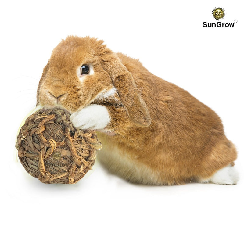 [Australia] - SunGrow Natural Seagrass Ball - Perfect & Safe Chewable Teething Toy for Rabbits, Cats, Hamsters, Gerbils & Birds : Healthy for Your Pet’s Gums & Teeth 